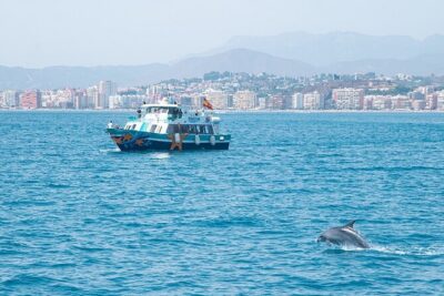Ferry Benalmádena <> Fuengirola - Starfish on-board: views, Wi‑Fi, and that dolphin possibility