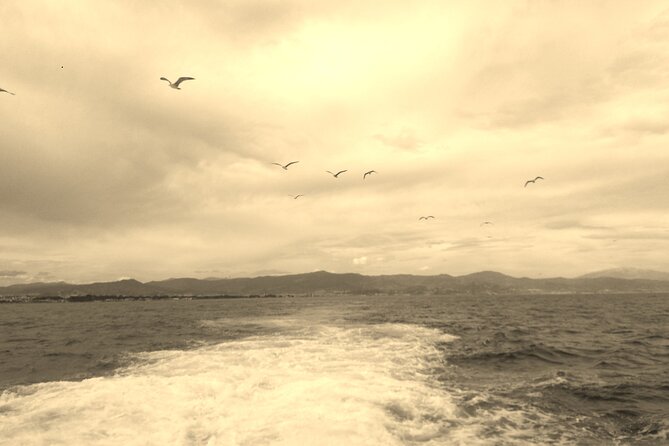 Ferry Benalmádena <> Fuengirola - Price and value: what $16.87 really buys you