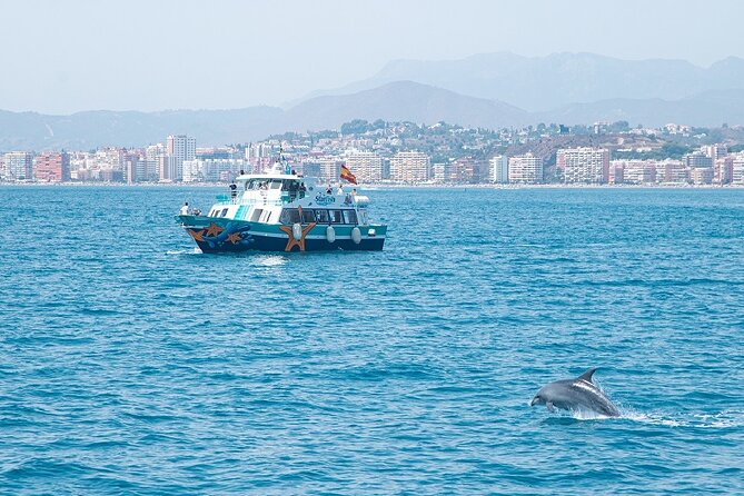 Ferry Benalmádena <> Fuengirola - Starfish on-board: views, Wi‑Fi, and that dolphin possibility