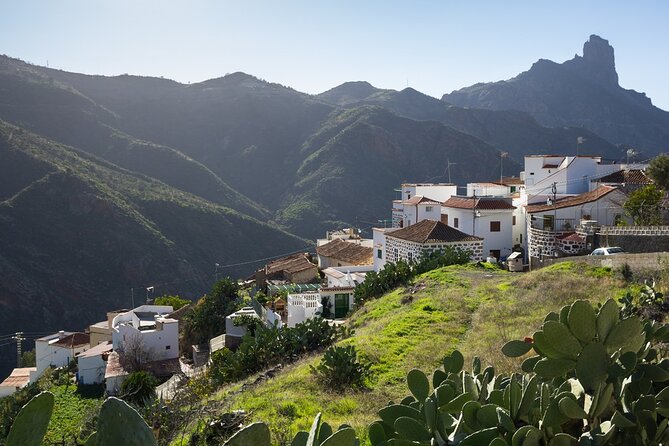 Firgas, Tejeda, Guayadeque - VIP Tour Gran Canaria - Barranco de Guayadeque: cave houses and ravine character
