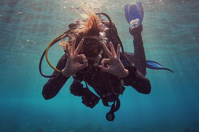 First Dive Experience in Tenerife - Quick hits on this first-time Tenerife scuba experience
