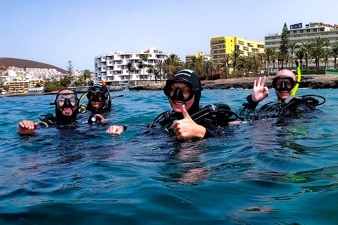 First Dive Experience in Tenerife - What you can see in the Bay of Stingrays near Puerto de Santiago