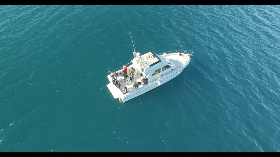 Fishing Trip all included - A Catamaran Fishing Day on the Alicante Coast (Not Just a Boat Ride)