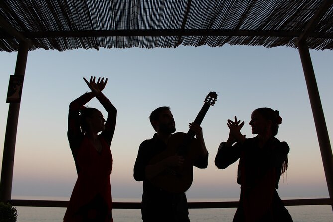 Flamenco and Outdoor Grill Evening (Guadalmina) - A Sunset BBQ Meets Tablao-Style Flamenco in Guadalmina