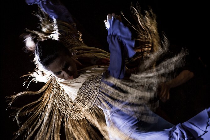 Flamenco Show at Café Ziryab: Madrid - Café Ziryab Tablao Flamenco: the setting that changes everything