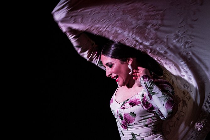 Flamenco Show at Café Ziryab: Madrid - Getting there in Madrid: near transit, but not at the loudest corner