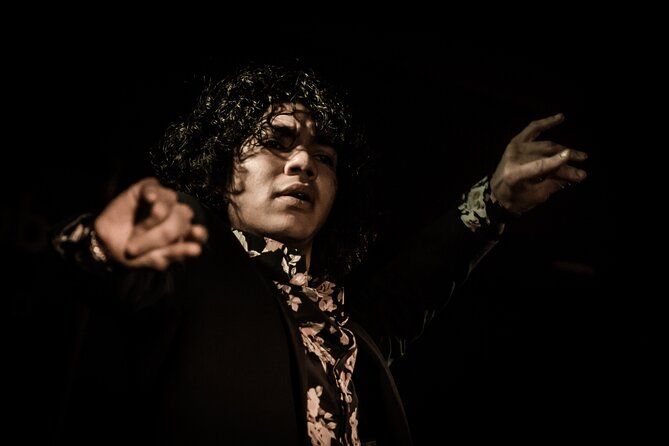 Flamenco Show at Café Ziryab: Madrid - Who this flamenco show is best for