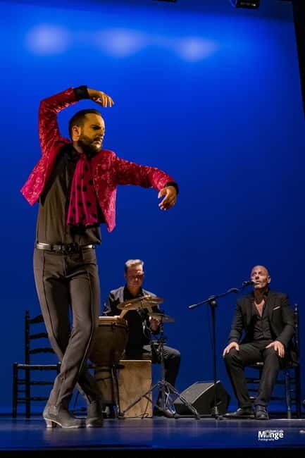 Flamenco Show at La Guarida del Angel with Drink - Menu upgrades: the art-and-gastronomy pairing (and how it’s priced)