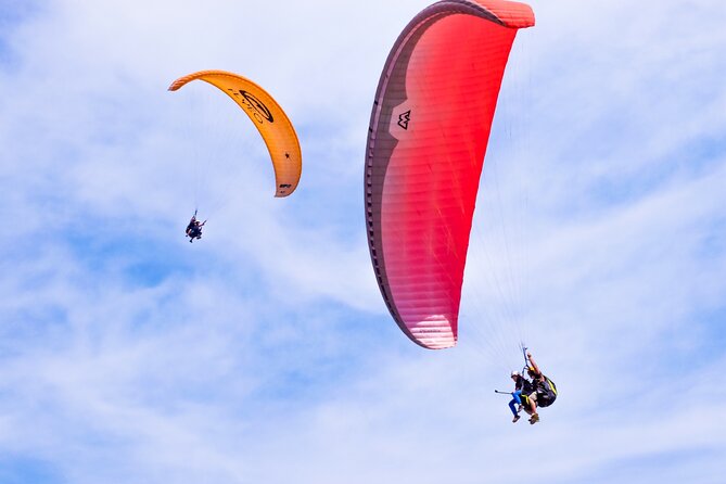 FlyTenerife Paragliding Flight - Key things to know before you fly