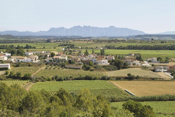 Food and Wine Small Group Tour from Barcelona - Maximum 8 people - Key points at a glance