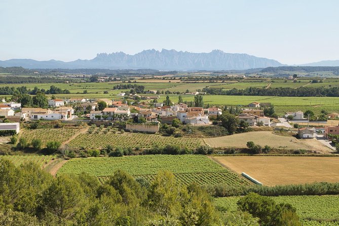 Food and Wine Small Group Tour from Barcelona - Maximum 8 people - Santa Cecília Monastery: Romanesque Architecture and a Photo Stop That Matters