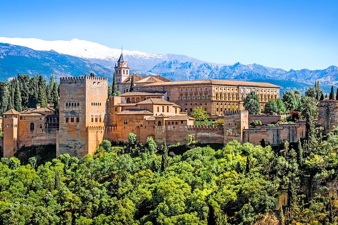 For Cruise Passengers ONLY: Granada and Alhambra from Malaga Port - The Drive Logistics: Comfort, Breaks, and Staying on Schedule