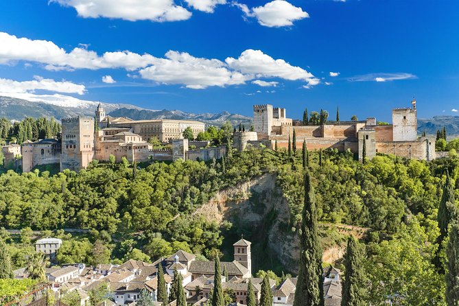 For Cruise Passengers ONLY: Granada and Alhambra from Malaga Port - Pace and Walking Reality: What “Moderate Fitness” Means in Practice