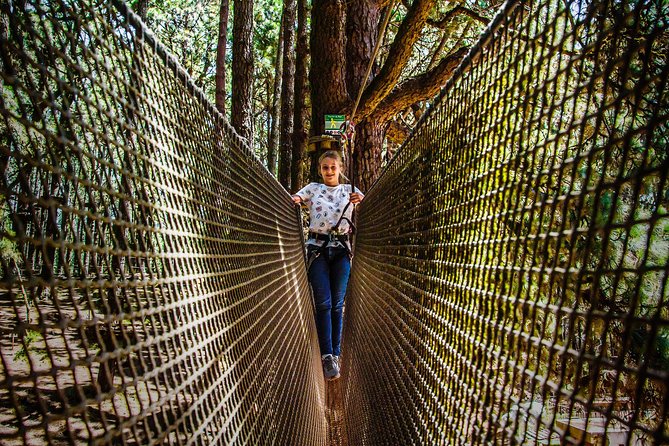 Forestal Park Tenerife Entrance Ticket - Choosing the Right Circuit: Height, Weight, and Age Rules