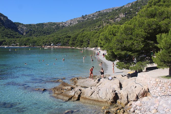 Formentor with boat trip + local market - Mallorca’s north in one long day: the Formentor payoff