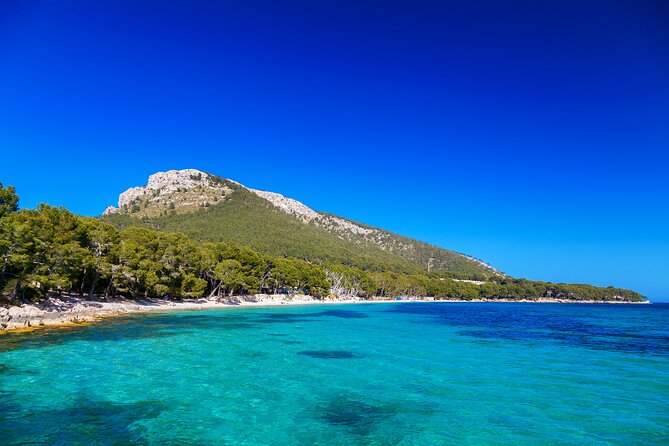 Formentor with boat trip + local market - Hotel pickup, coach time, and how to make the day feel shorter