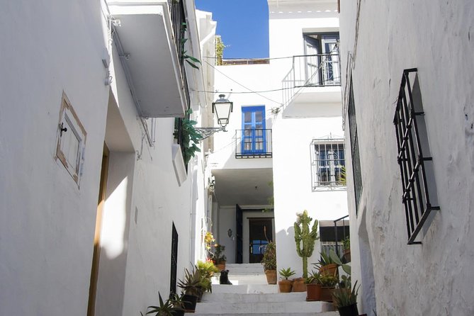 Frigiliana and Nerja Tour from Malaga - Key things that make this trip worth a look