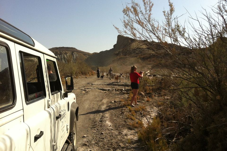 From Almeria: Tabernas Desert 4WD Joyriding Tour - Key points I’d bet on