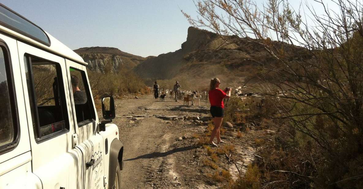 From Almeria: Tabernas Desert 4WD Joyriding Tour - The 2-hour route: what you’ll actually do in the vehicle