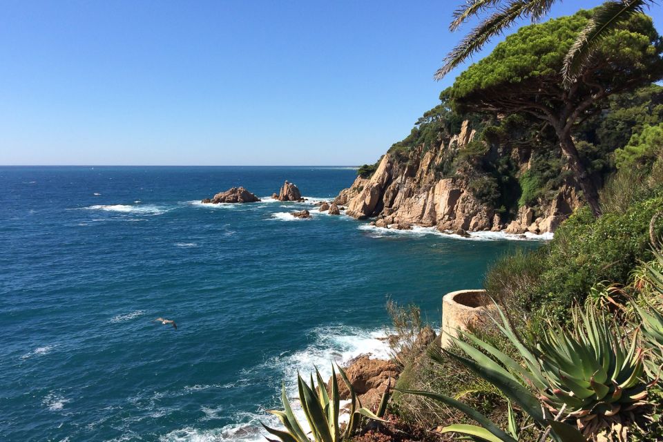 From Barcelona: Costa Brava Day Tour with Lunch - Blanes Botanical Gardens: plants, cliffs, and a cool place to pause