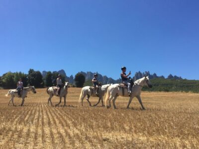 From Barcelona: Horseback Tour in Montserrat National Park - Inside Montserrat Abbey: Romanesque to Renaissance in one guided hour