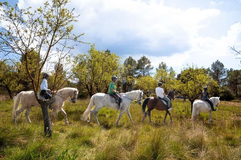 From Barcelona: Montserrat Walking and Horseback Riding Tour - Key Highlights You’ll Actually Care About