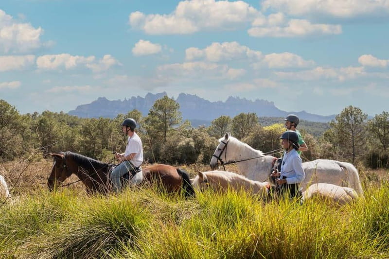From Barcelona: Montserrat Walking and Horseback Riding Tour - Who Should Book This Tour (and Who Might Feel Mismatched)