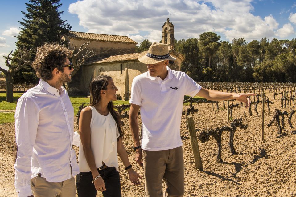 From Barcelona: Penedés Vineyards Tour by 4WD w/Wine & Cava - Cava tastings: 4 types with real food pairings