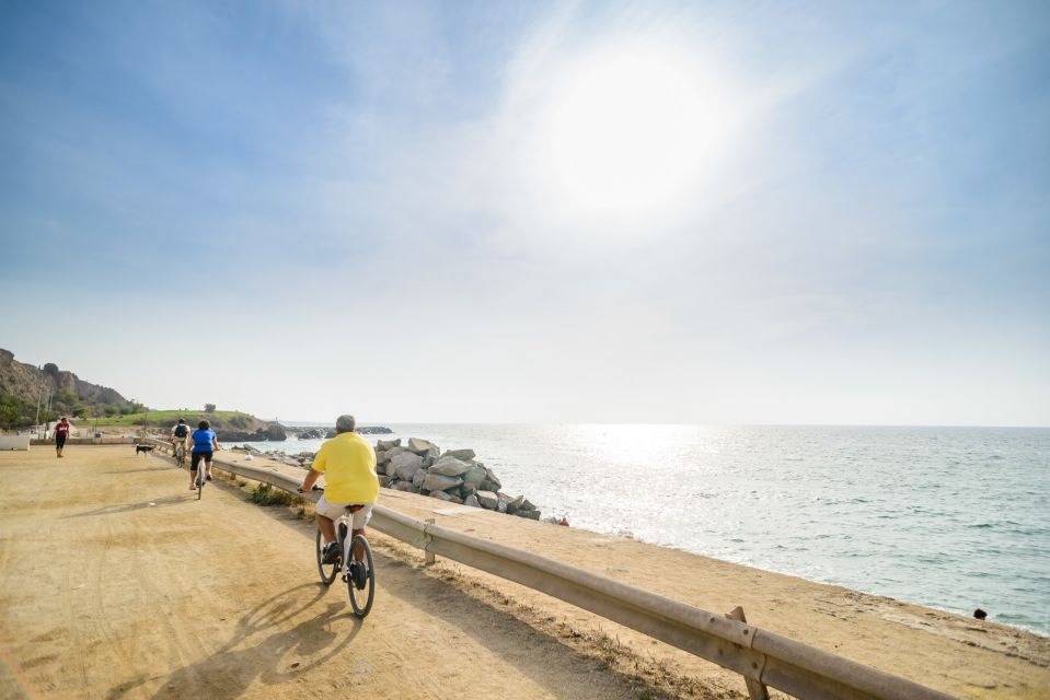 From Barcelona: Private Alella Wine Tour by Electric Bike - Key highlights you’ll feel right away