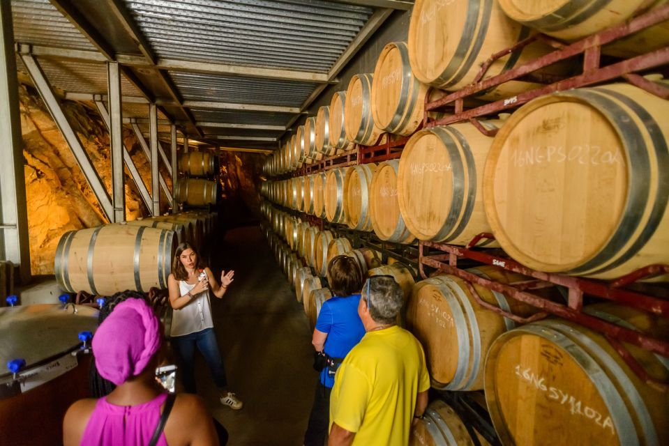 From Barcelona: Private Alella Wine Tour by Electric Bike - Price and value: what $294 buys you in real terms
