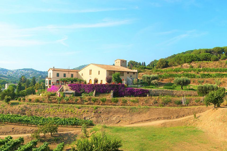 From Barcelona: Private Alella Wine Tour by Electric Bike - Why Alella is the best kind of Barcelona wine day