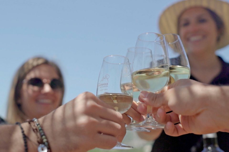 From Barcelona: Private Alella Wine Tour by Electric Bike - Alella’s family-run organic winery and vineyard walk