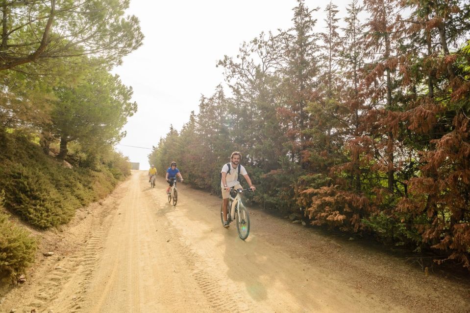 From Barcelona: Private Alella Wine Tour by Electric Bike - The 4-wine tasting: comparing styles, not just sipping