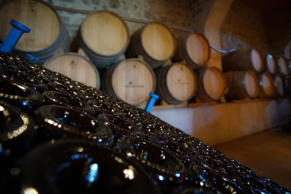 From Barcelona: Sailing and Wine Tasting Experience - Barcelona sailing to Alella Harbor: the joy is in the pace