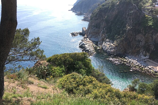From Barcelona : Tossa de Mar, Coastal Path, Boat and Costa Brava - Price and Logistics: What $108.61 buys you (and what it doesn’t)