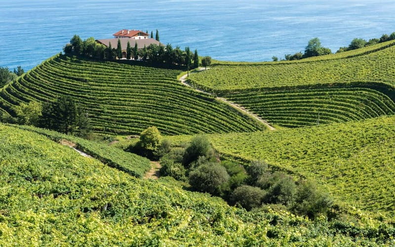 From Bilbao: Excursion to San Sebastián, Hondarribia, Hendaye, and Getaria - Who should book this tour—and who should skip it