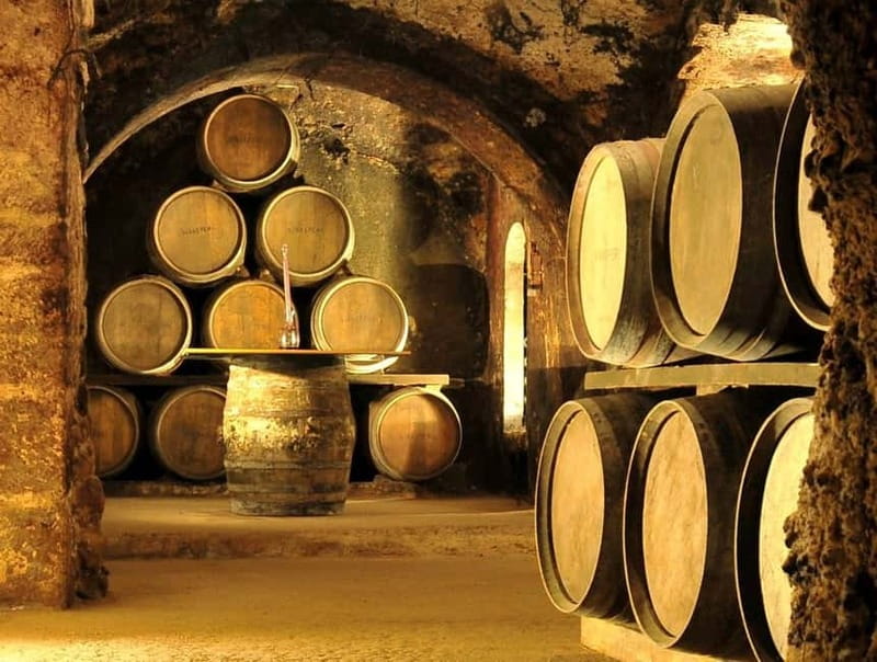 From Bilbao: Rioja Wine Region with Winery & Vitoria-Gasteiz - A winery under the streets of Laguardia: why this cellar visit feels different