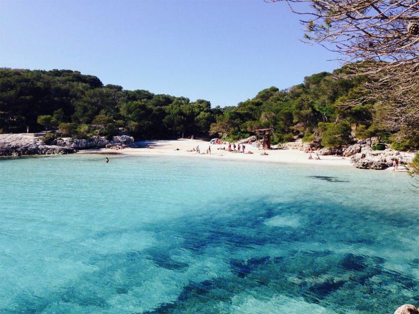 From Cala Galdana: 2-Hour Glass-Bottom Boat Trip - Key Points to Know Before You Go