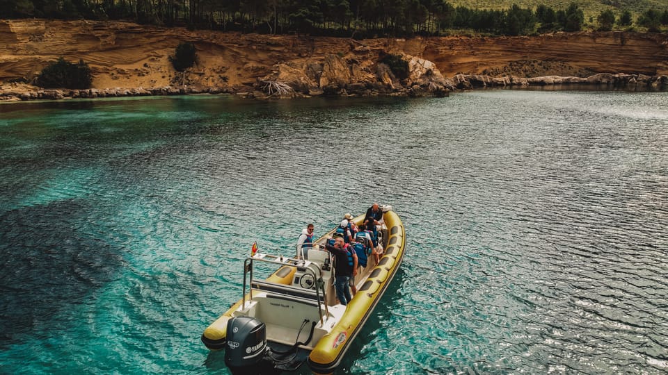 From Can Picafort: Dolphin Watching and Cave Boat Trip - Key points that matter most