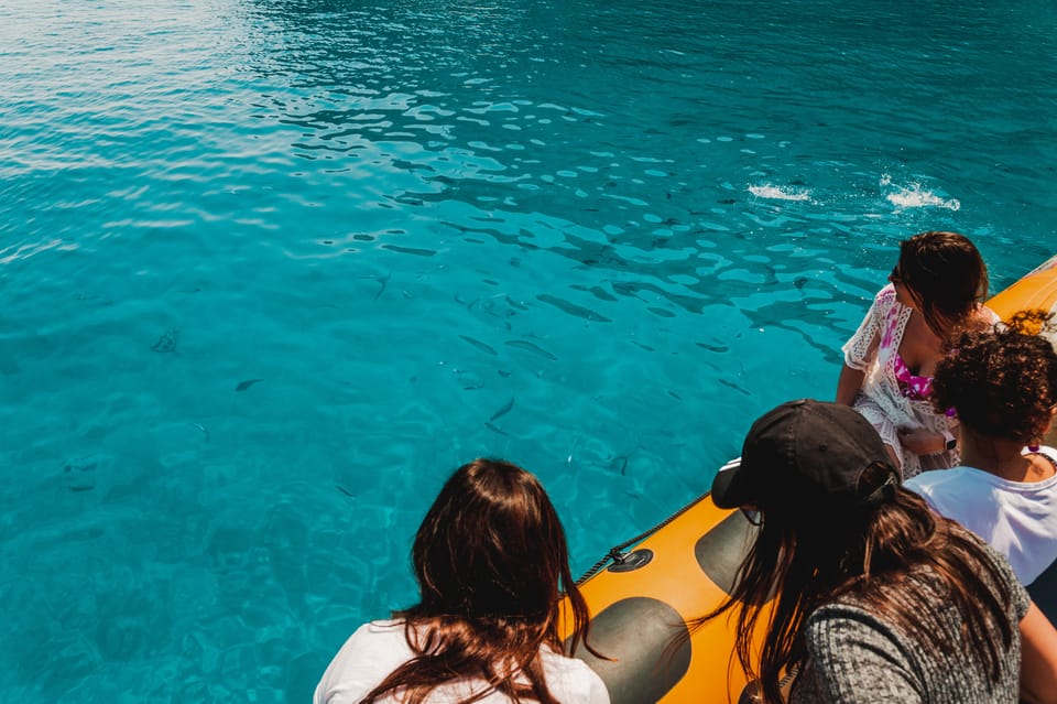 From Can Picafort: Dolphin Watching and Cave Boat Trip - Where this trip fits in Mallorca: North-coast wonder, not tourist bus time