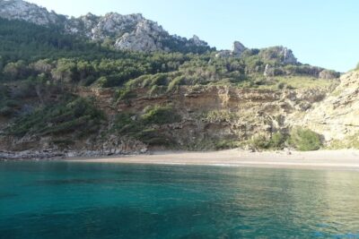 From Can Picafort: Dolphin Watching and Cave Boat Trip - Meeting the boat fast: Can Picafort pier details you should know