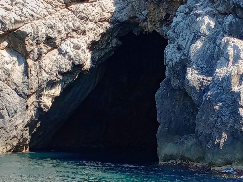 From Can Picafort: Dolphin Watching and Cave Boat Trip - Dolphins in the wild: small group spotting, bigger payoff