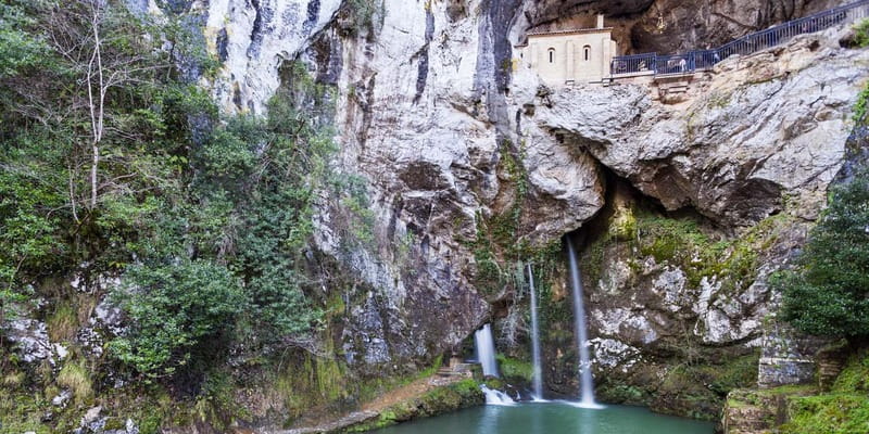 From Cangas de Onis: Covadonga Lakes Guided Day Trip - Lakes of Covadonga: Lake Enol and Lake Ercina for the best photos