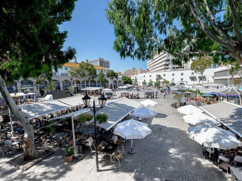 From Costa del Sol: Gibraltar Day Trip with Free Time - A few practical tips that will save you time