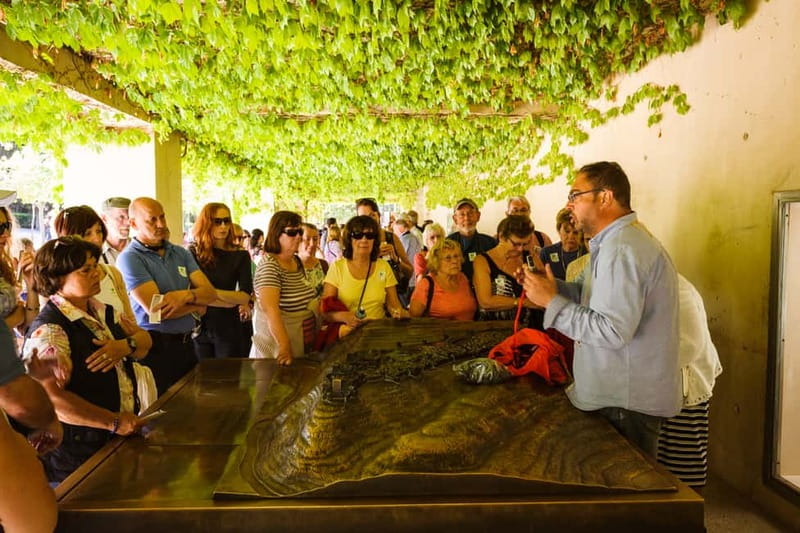 From Costa del Sol: Granada Full-Day Tour - A Granada day trip that actually fits real plans