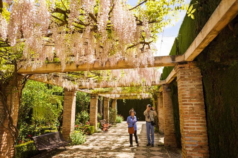 From Costa del Sol: Granada Full-Day Tour - Costa del Sol to Granada: comfort on the move, plus the long pickup reality