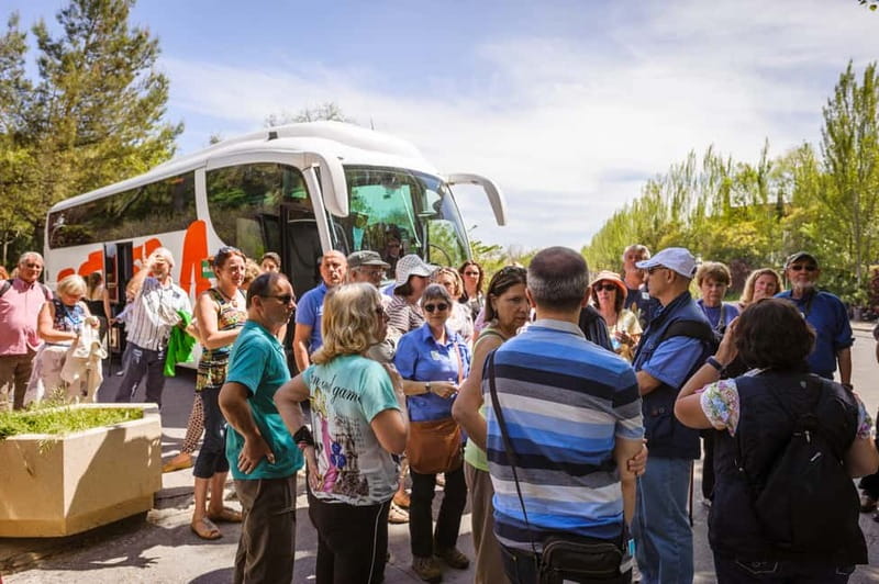 From Costa del Sol: Granada Full-Day Tour - Historic Granada center walk: Cathedral, Royal Chapel, and old souk streets