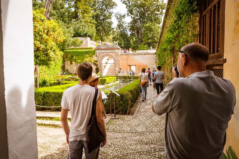 From Costa del Sol: Granada Full-Day Tour - Free time in Granada: use it for tapas and the right neighborhoods