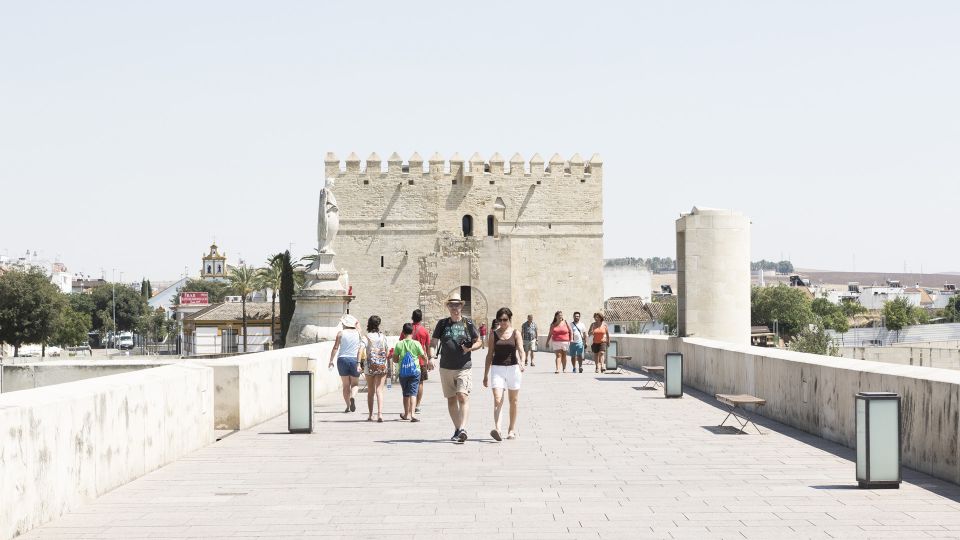 From Costa del Sol & Malaga: Cordoba Guided Day Tour - Key Highlights You’ll Feel Right Away
