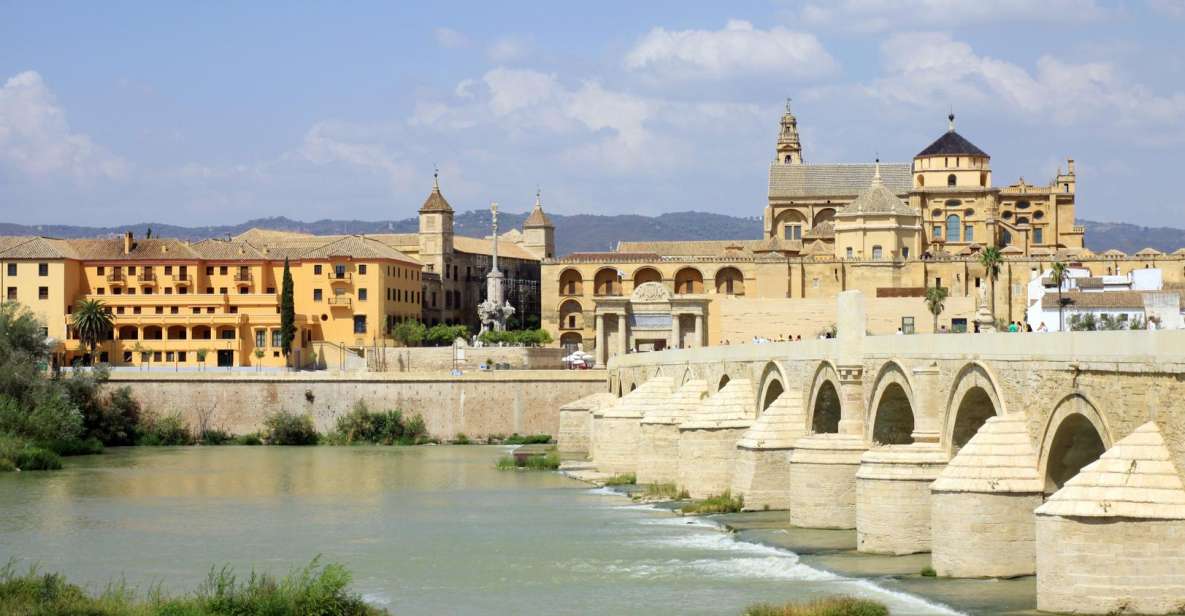 From Costa del Sol & Malaga: Cordoba Guided Day Tour - Who This Tour Suits Best (and Who Should Think Twice)
